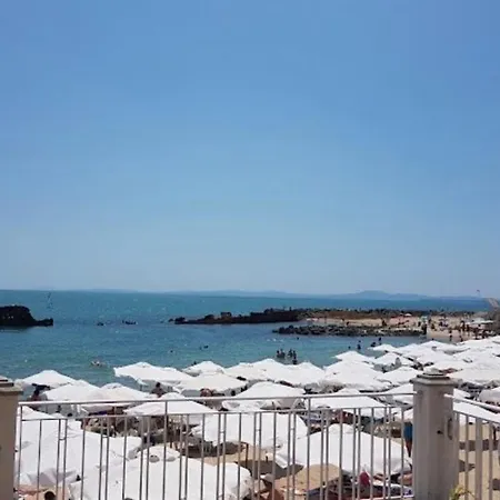 Apollo 4 The Place For Families With Children ネセバル